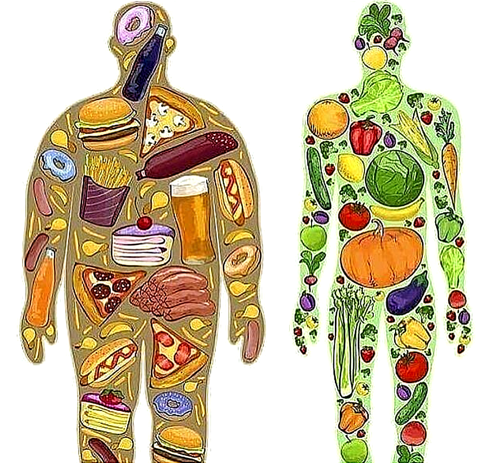 Food & body gnosis